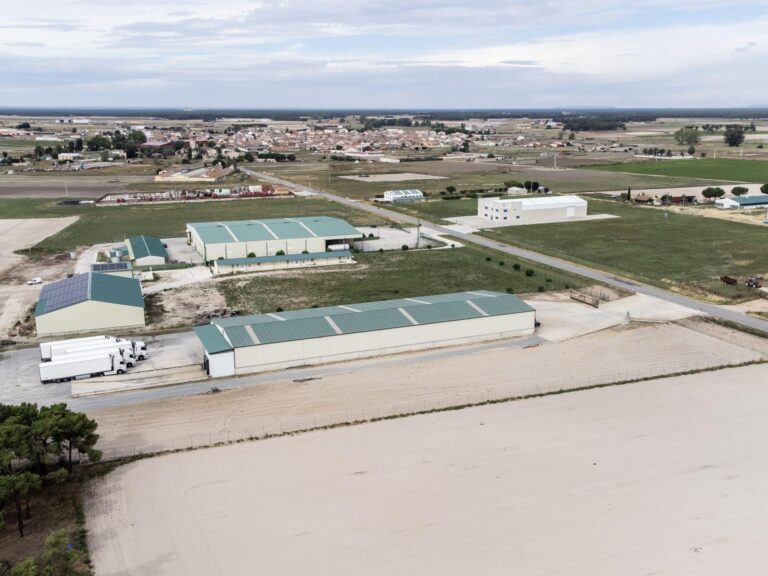 Hijos de Muñoz Maestro Hijos de Muñoz Maestro